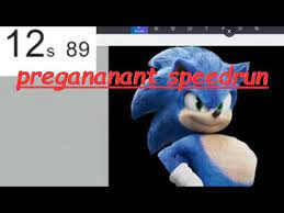 No seriously i'm not even being. Pregnant Sonic Speedrun 3d 12 89sec Youtube