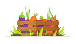 Vegetable Garden Icon Vector Images