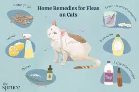 9 natural flea repellents for cats