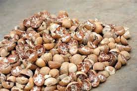 brown impurity free betel nuts at best