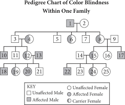 New Sat Reading Practice Test 38 Colorblindness