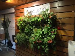3 living wall planters vertical