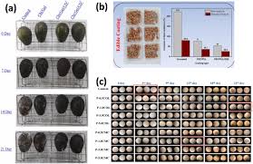 biopolymer based uv protection