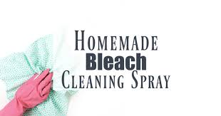 DIY Bleach Cleaning Spray Home in the Finger Lakes