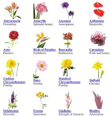 Flower Symbolism Flower Chart Beautiful Bouquet Of