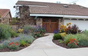 xeriscape front yard