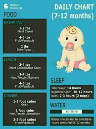 Hi Food Chart For 11 Month Old Baby Pls