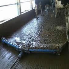 cow dung floor ser manufacturers