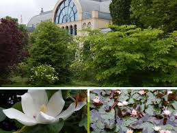 Please choose a different date. Koln Flora Und Botanischer Garten Ein Park Zum Erholen Und Staunen