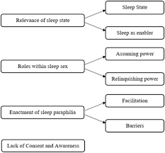 A Qualitative Exploration of Sleep-Related Sexual Interests: Somnophilia  and Dormaphilia - Elizabeth T. Deehan, Ross M. Bartels, 2023