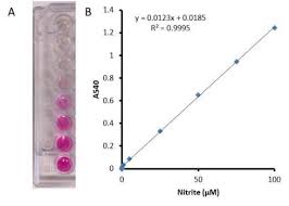 Nitrite Reduction Assay For Whole Pseudomonas Cells Enigma
