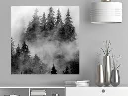 Wall Poster Black Forest Poster Posters