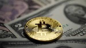Bitcoin & cryptocurrency news today, price & technical analysis. This Cryptocurrency Is Touted To Be The Next Best Bet After Bitcoin Technology News Zee News