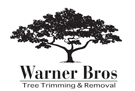 Open your browser and search for tree services near me you will see different options companies there providing tree services. Tree Services Near Me Warner Bros Tree Trimming And Removal