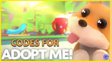 Can you do codes in Adopt Me?