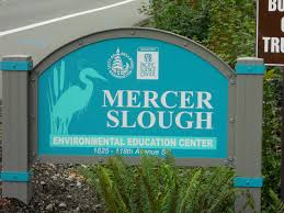 mercer slough environmental education