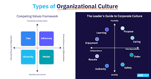 12 types of organizational culture you