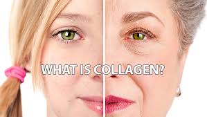 Kết quả hình ảnh cho Collagen Really Does for Your Skin