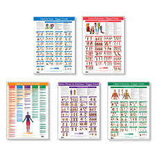 Trigger Point Charts Complete Set Of 5