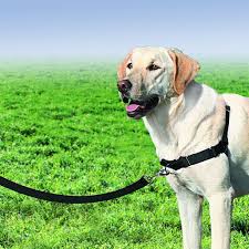 Petsafe Easy Walk Harness For Dogs Large Black Silver