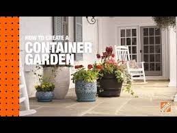 how to create a container garden the