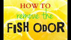 how to remove the fish odor at home 4