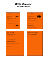 bicep exercise chart free