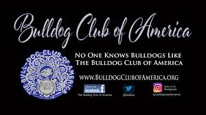 The french bulldog fan club is a community where you can find various information, tips, photos and other news about french bulldogs. The Bulldog Club Of America Home Facebook