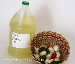 garlic pepper tea is a natural and