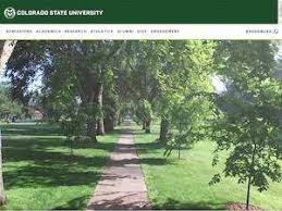 Colorado State University Ranking Review