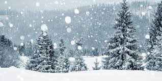 Dreaming of a White Christmas? Looks ...