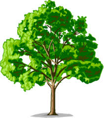 Image result for pohon teknik