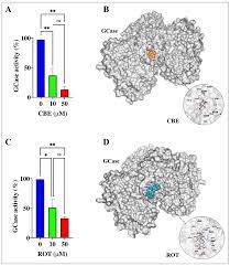 lrrk2 kinase in hek 293 cells