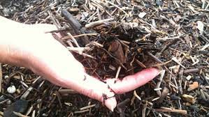 Clay Soil 5 Tips For Making Your