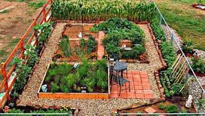 24 Fantastic Backyard Vegetable Garden Ideas Home Stratosphere