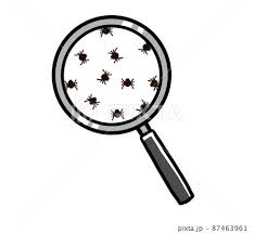 Baby Spiders And Magnifying Glass