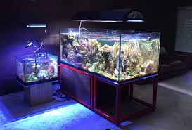These ultra modern looking new home aquariums are just the best thing since, well… we don't know what! The Modern Reef Aquarium Fish Room Reef Builders The Reef And Saltwater Aquarium Blog