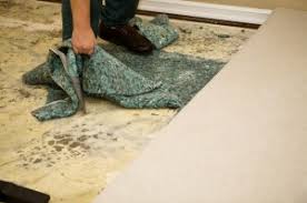 how to dry your carpet after a flood