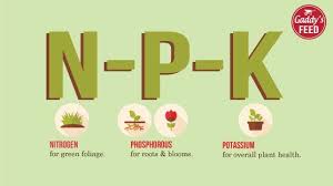 Image Result For Npk Fertilizer Chart Plant Health Plants