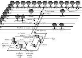 Typical Drip Irrigation System Layout