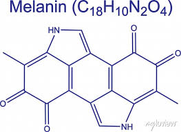 melanin natural pigment molecule