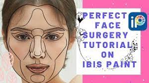 perfect face surgery on ibis paint x