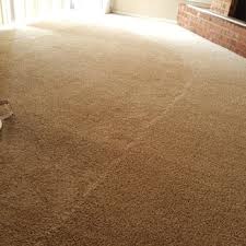 ace carpet upholstery cleaning