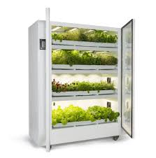 urban cultivator commercial grow