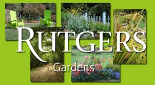 explore the beauty of rutgers gardens