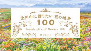 名画のような日本の四季【花の絶景100〜Superb view of flowers 100 Japan】花畑写真癒し動画 - YouTube