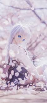 anime doll wallpapers wallpaper cave