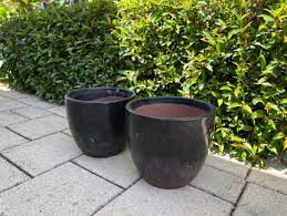 Pots In Perth Region Wa Garden