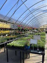 mike s garden centers 5703 crowley rd