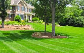 Lawn Services Donarski Lawn Care And Landscaping